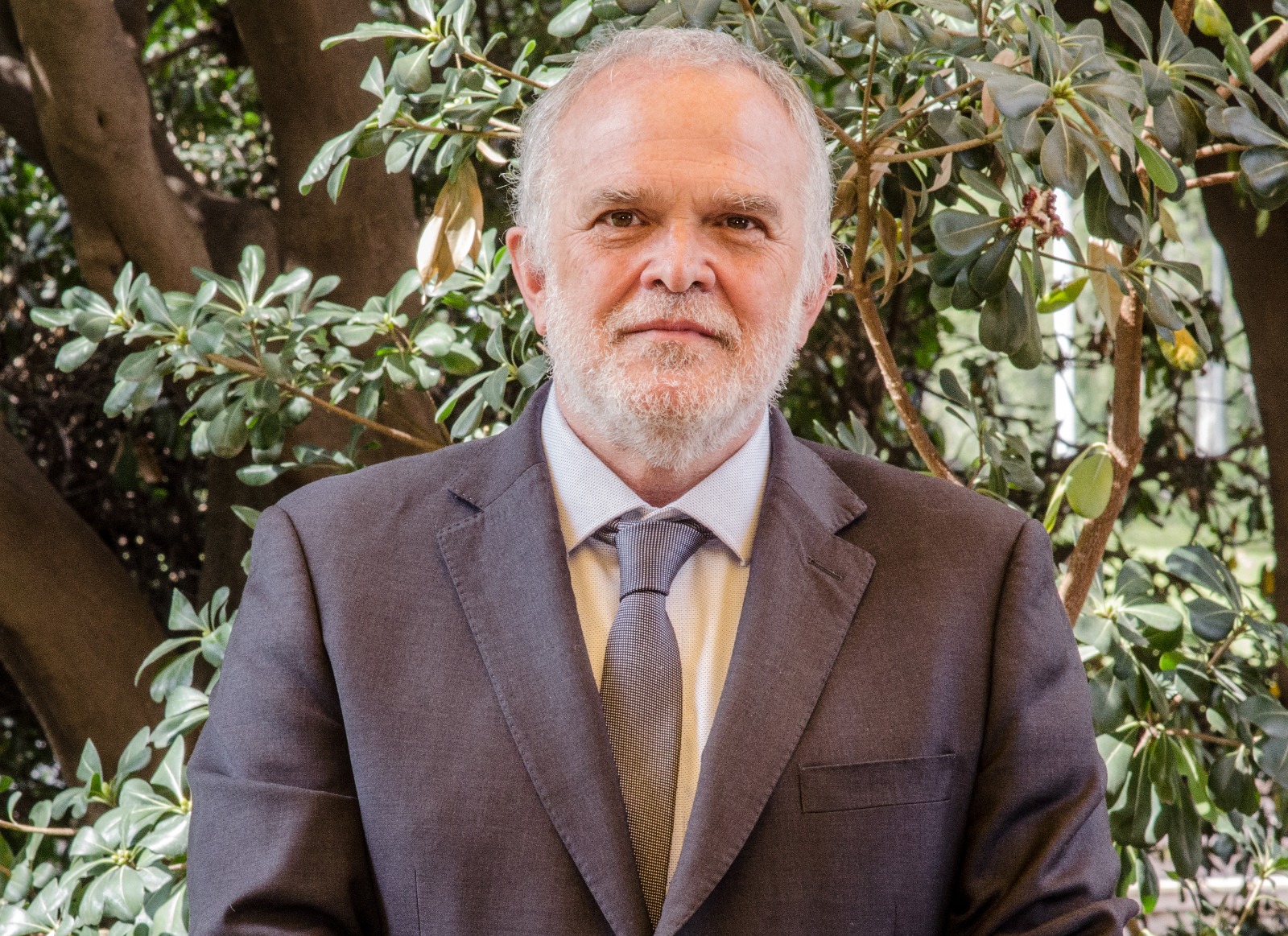 Desmatamento Zero e a vanguarda da certificação PEFC no Chile