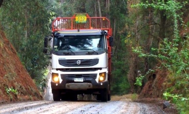 Sindicato florestal classifica como “inaceitável” que autoridades regionais se ausentem de reunião