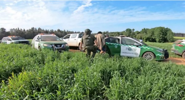 After New Law Takes Effect, Land Seizures Drop 59% and Arrests Rise from 7 to 63