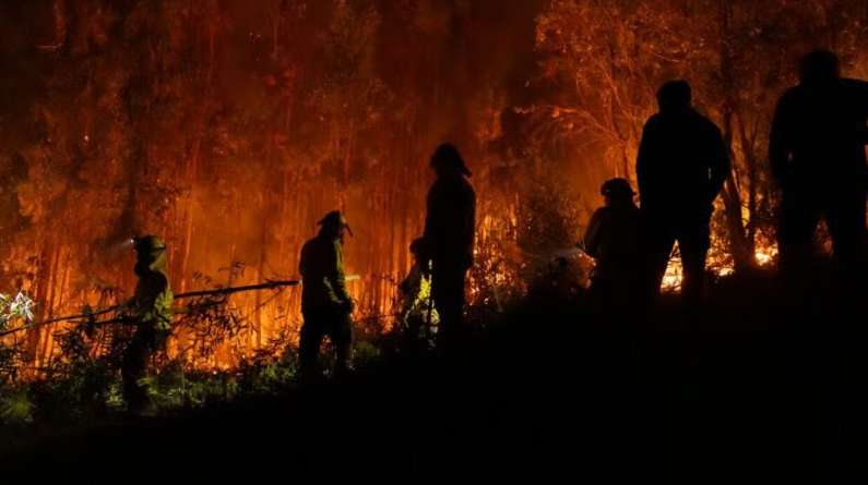 From prison to total ban: Maule prepares strict plan and sanctions for forest fires