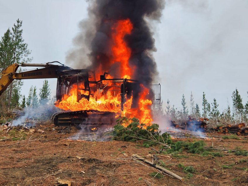 Ataque incendiario en Lumaco: sujetos irrumpieron en fundo y quemaron 15 vehículos