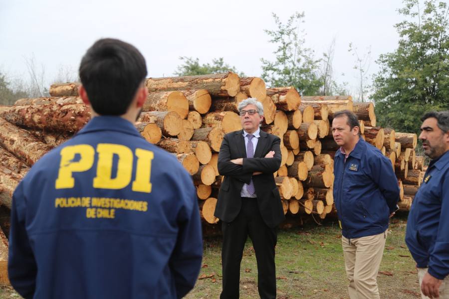 Roubo de madeira: bens apreendidos ao clã familiar podem superar os $10 bilhões