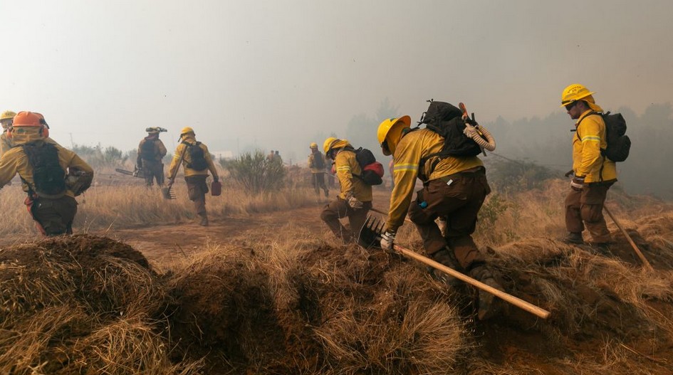 UdeC Joins Conaf Expert Panel to Improve Selection of Wildland Firefighters