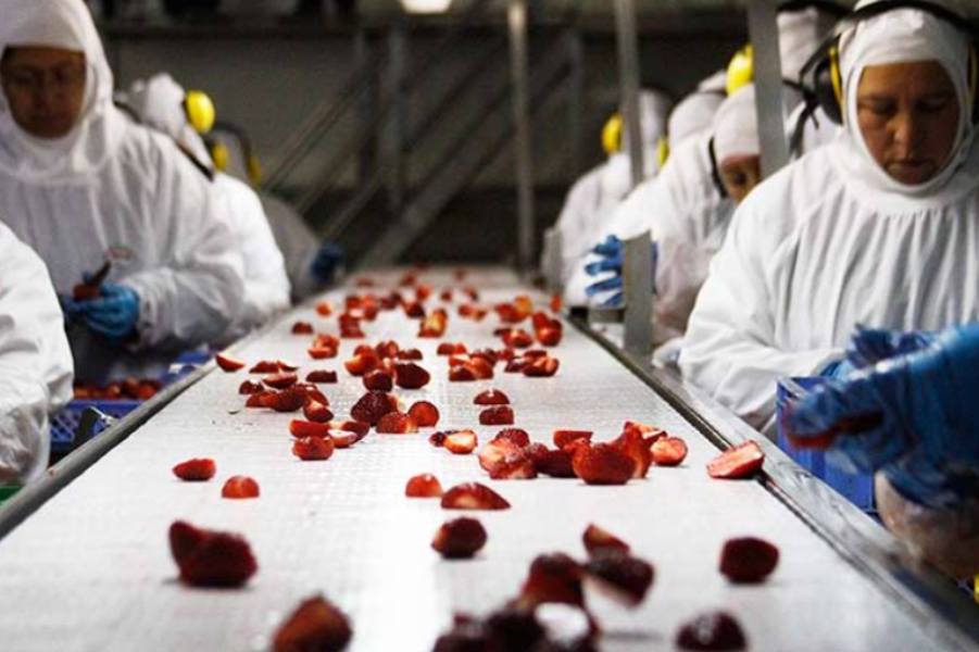 Ñuble's forestry and agricultural exports show recovery in May