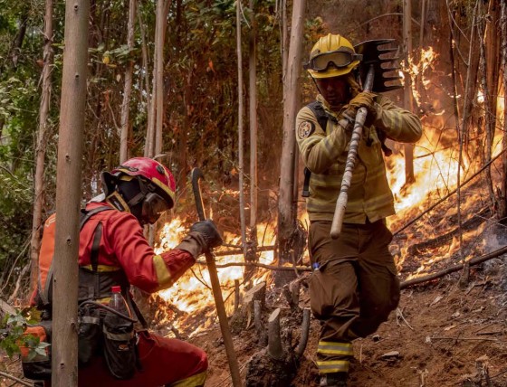 Biobío: 20 out of 33 municipalities have submitted their fire prevention plans