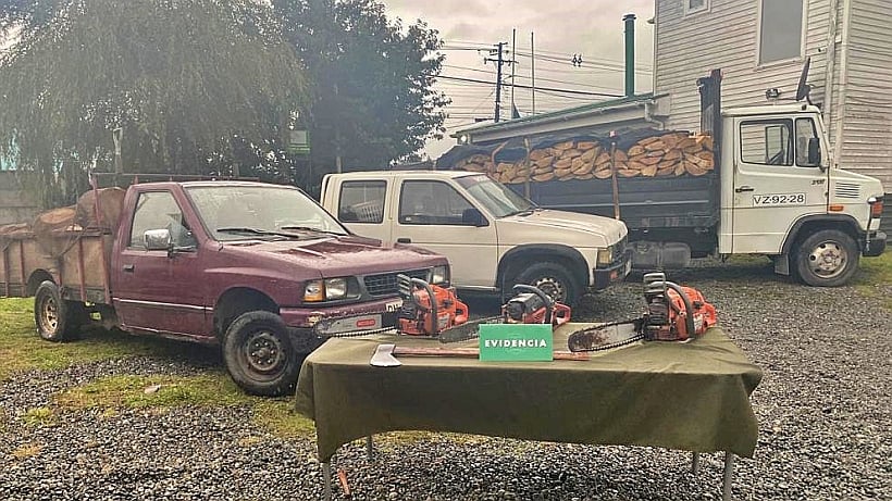 Con arraigo y firma quedaron imputados por robo de madera en Fresia