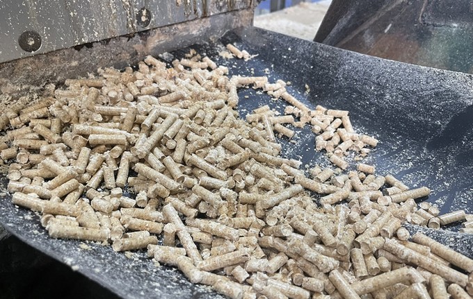 Biobío Ensures Good Pellet Supply for the 2025 Season