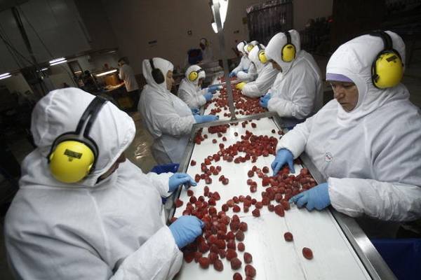 Exportaciones de Ñuble cierran el primer semestre con alza acumulada de 25,7%