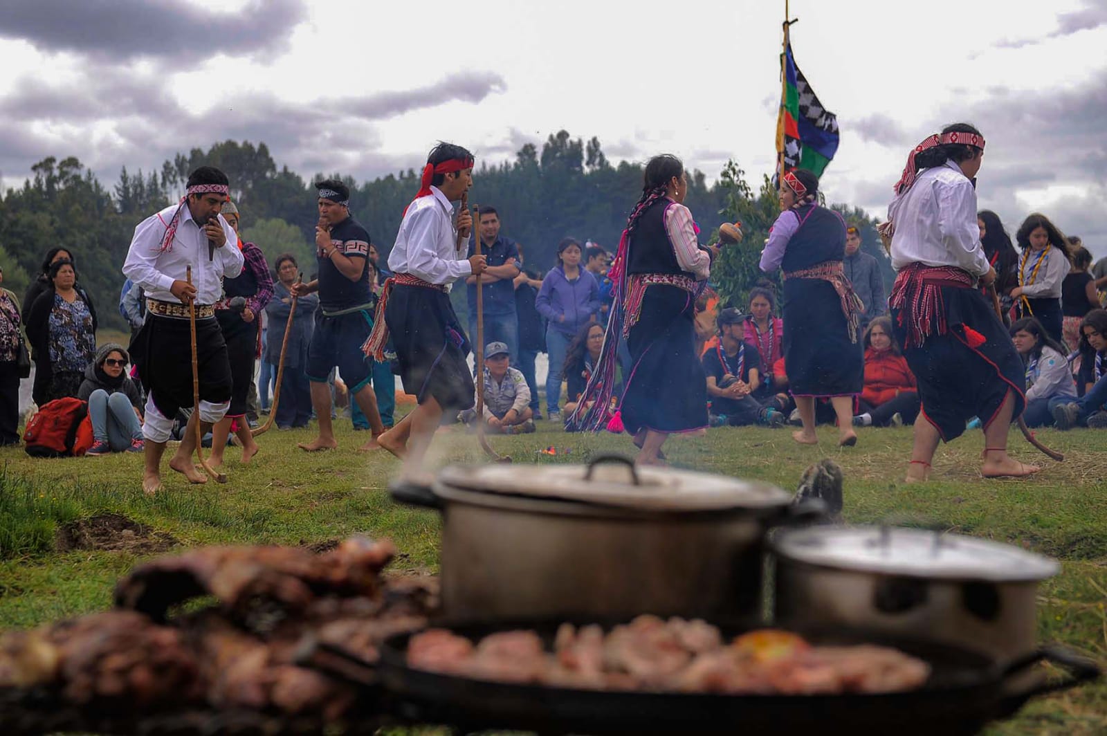 Mapuche engineer proposes integrating cultural ethos into productive development