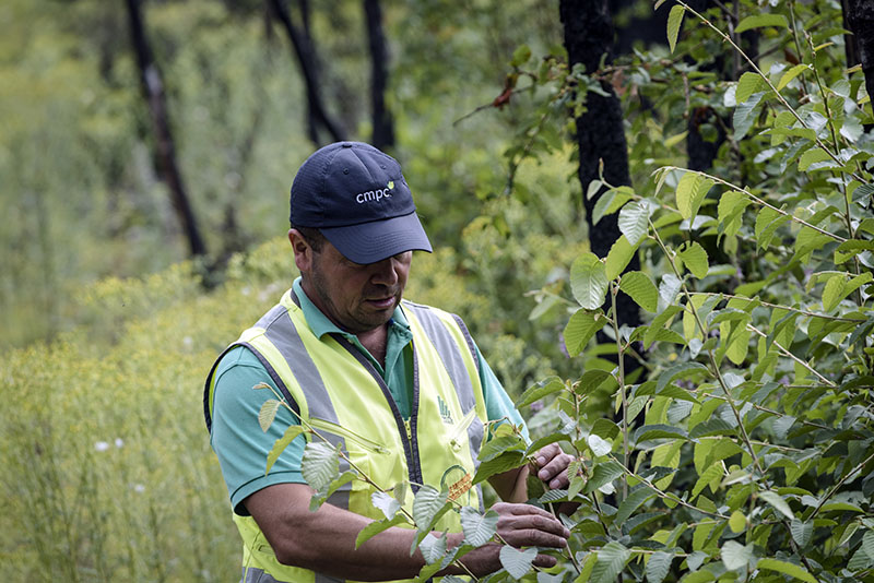 Powerful Conservation Program Aims to Protect 7 Threatened Species