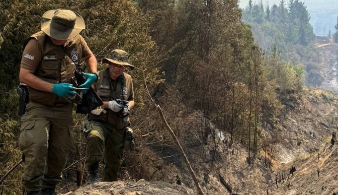 Fiscalía investiga incendios forestales en Ñuble: 15 casas destruidas y una mujer grave por quemaduras