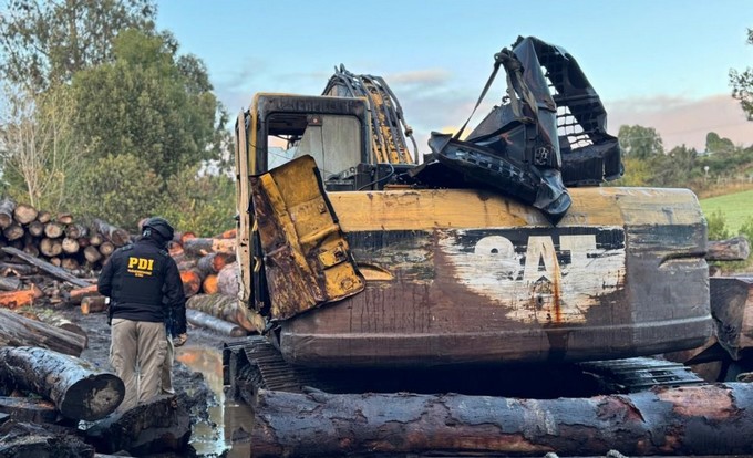 Golpe a la ilegalidad: Desmantelan red de sustracción de madera en Chiloé