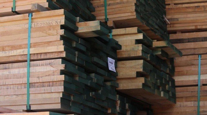 Biobío: Forestry Exports Continue to Lead, but with a Slight Decline in April