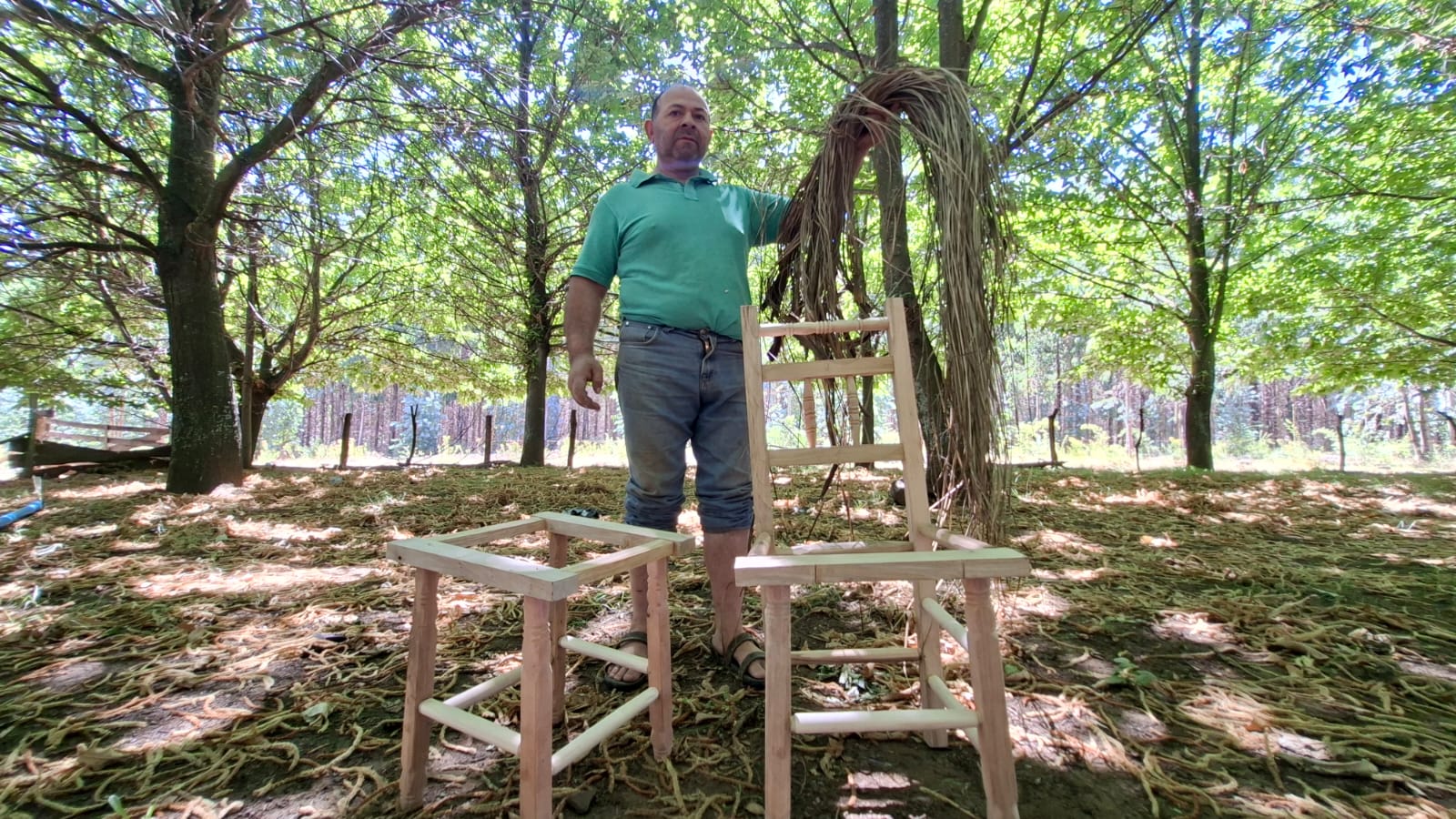 Carlos Martínez, el guardián de la madera viva en Chamizal