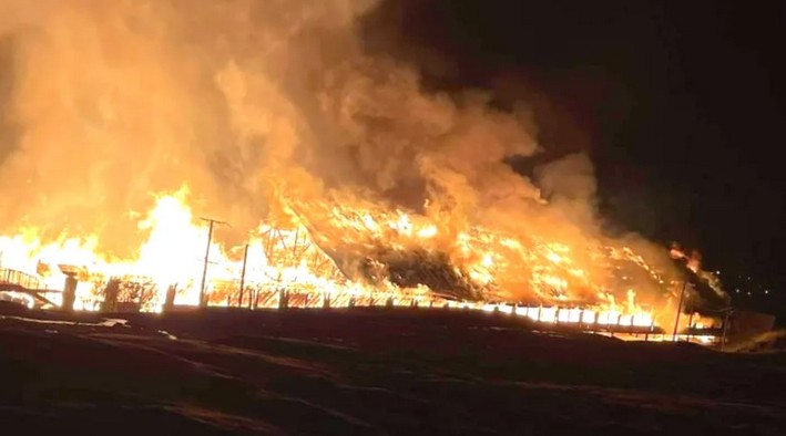 Fire Devastates Neltume Carranco Forestry Company, National Heritage Site in Panguipulli