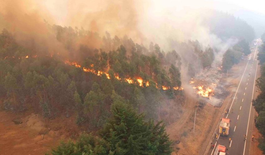 Biobío: teams and fire prevention measures reinforced while awaiting Regional Action Plan