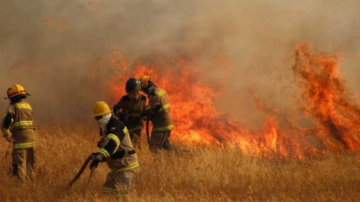 1,094 Wildfires Recorded in the First Half of 2024 in La Araucanía