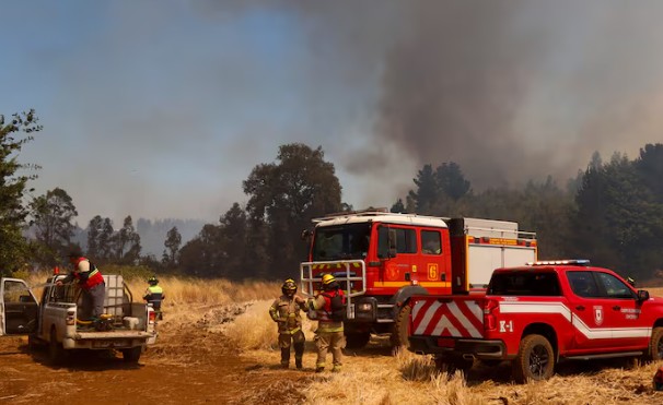 Conaf Claims That in Some Areas of La Araucanía, Firefighters Cannot "Enter" to Combat Forest Fires