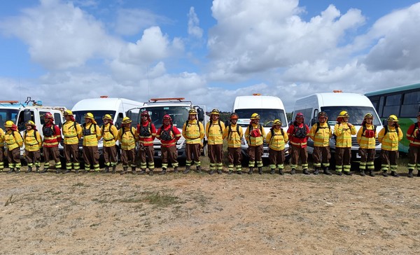 Los Lagos Incorporates Night Brigades and New Aircraft for Wildfire Prevention and Control