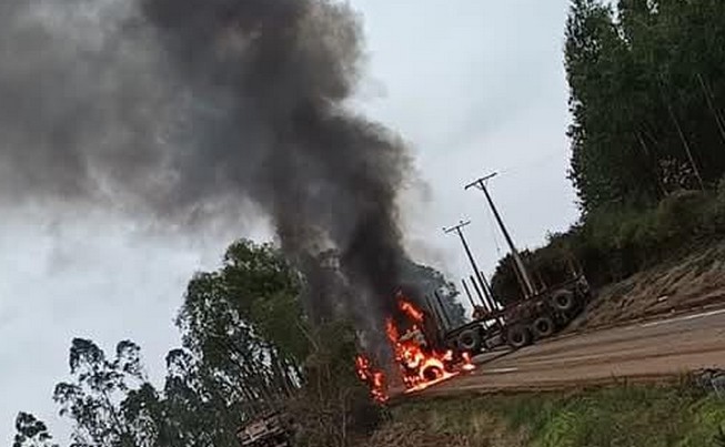 Acoforag: "Terrorist activity persists in La Araucanía"