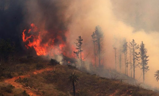 After 14 heatwaves, Chile records more wildfires than last year, but with less destruction