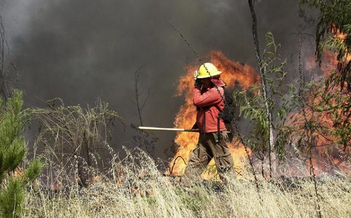 Ñuble to Have 11.9% More Firebreaks for the Wildfire Season