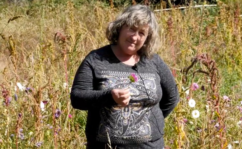 Nancy Cabezas: cultivar la tierra, cuidar el bosque y construir desarrollo desde el mundo rural