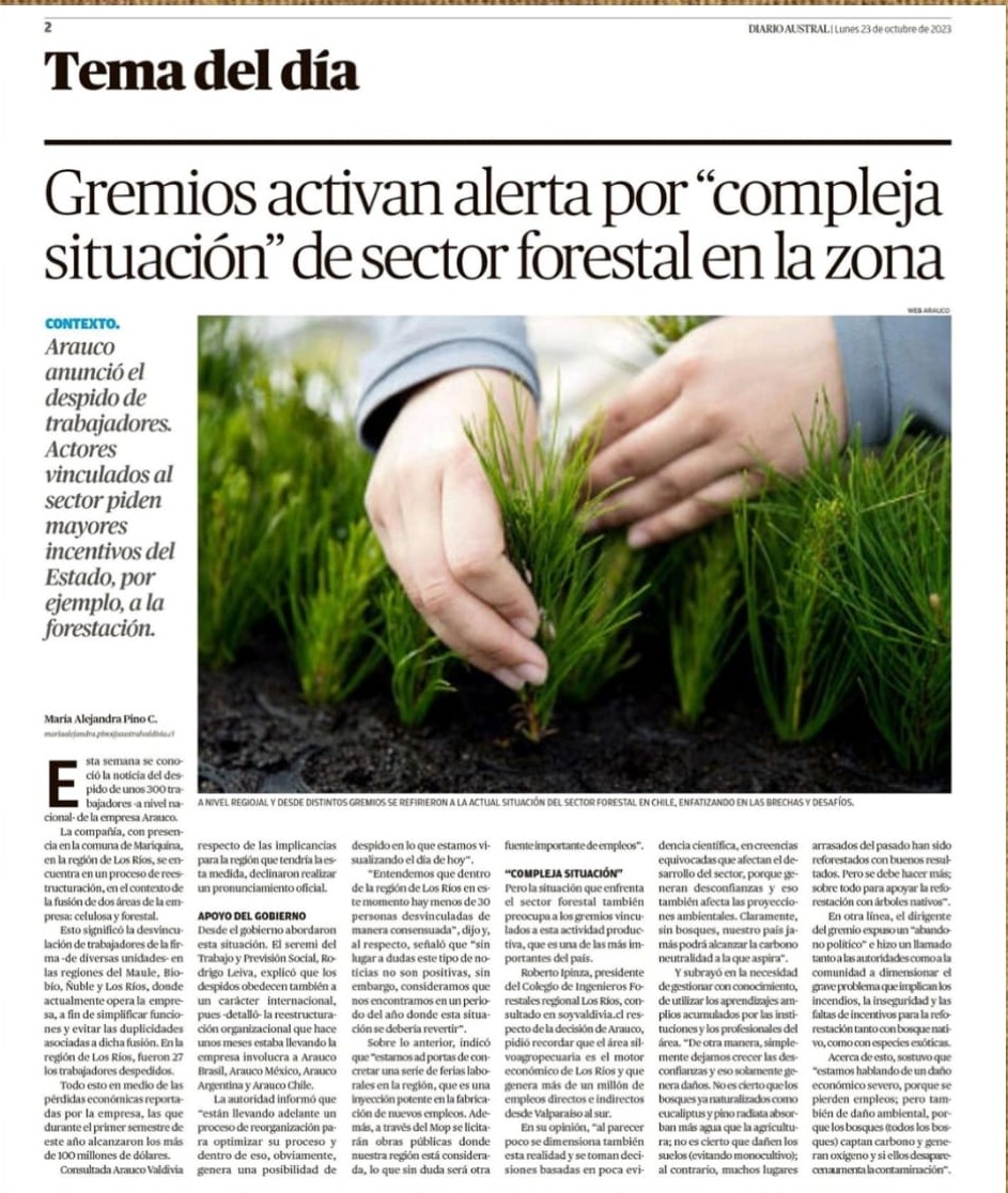 Guilds sound alarm over "complex situation" in the forestry sector in the area