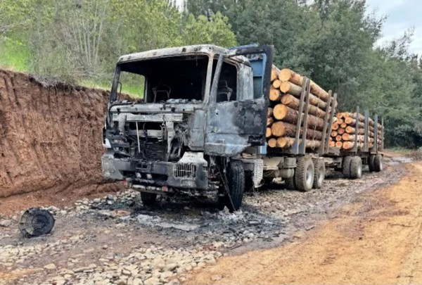 Forestry Contractors Close 2024 with the Lowest Number of Arson Attacks in Seven Years