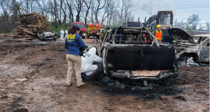Acoforag alerta fuerte impacto laboral y productivo por inseguridad en el sector forestal