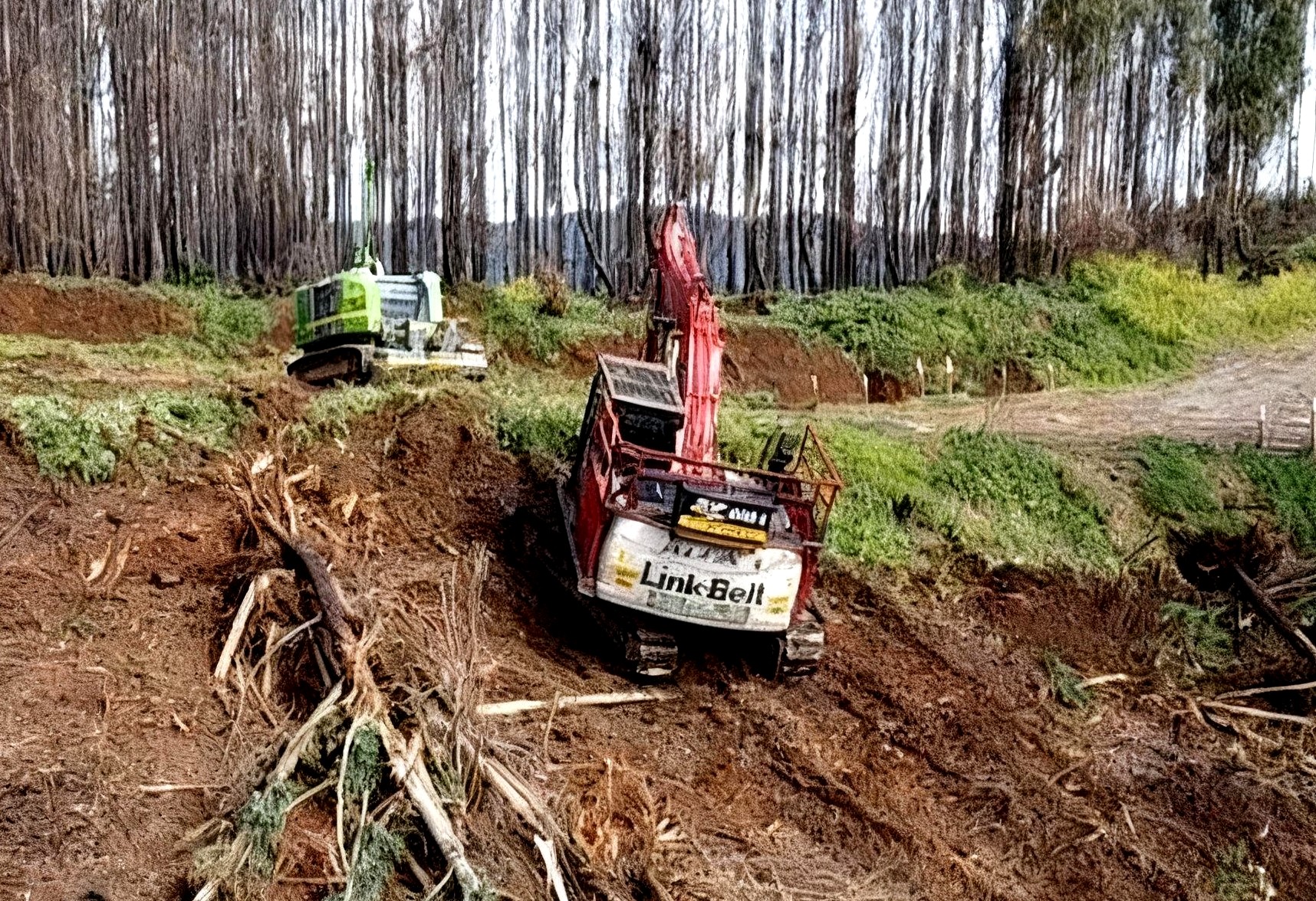 Tecnología y seguridad transforman la habilitación de terrenos forestales