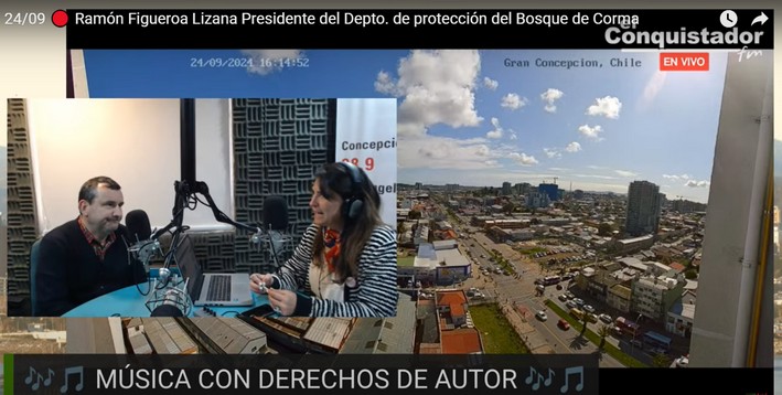 Chile Faces Winter Wildfires: A Constant Challenge