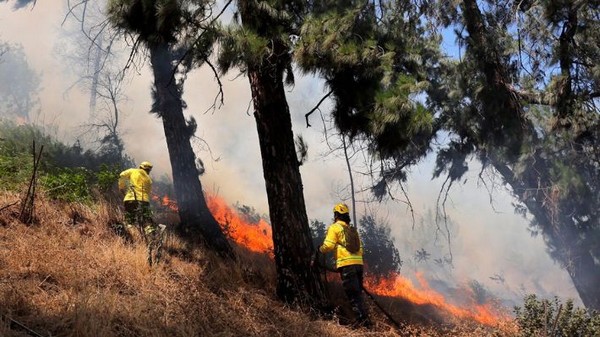 Fire in Los Álamos: Mayor Accuses Arson in Blaze That Consumes 500 Hectares