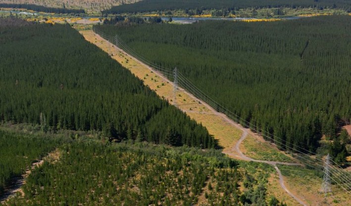 Researchers Develop Methodology to Prevent Forest Fires in Power Line Areas