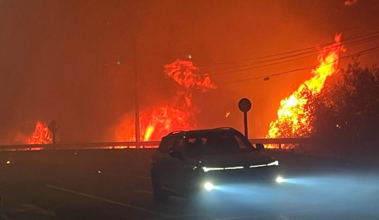 Tragedia en Penco: incendios forestales dejan 14 víctimas fatales
