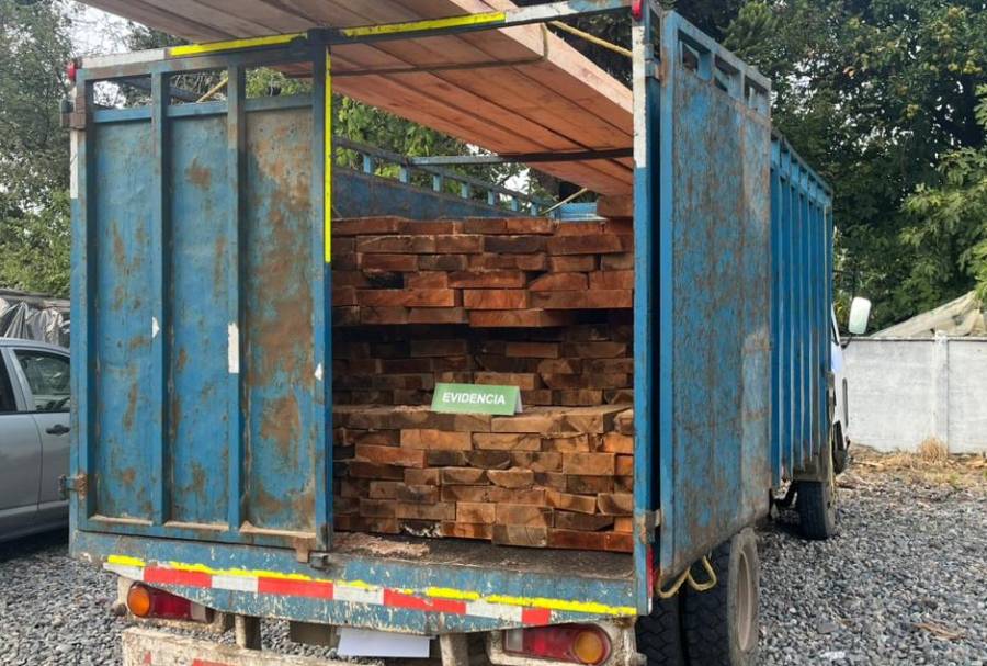 Unlicensed Driver Arrested for Illegal Transport of Native Timber in El Carmen