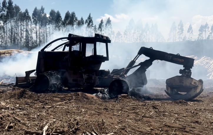 ILO Accepted Forestry Contractors' Claim Against Chile for Failing to Comply with Workplace Safety Convention