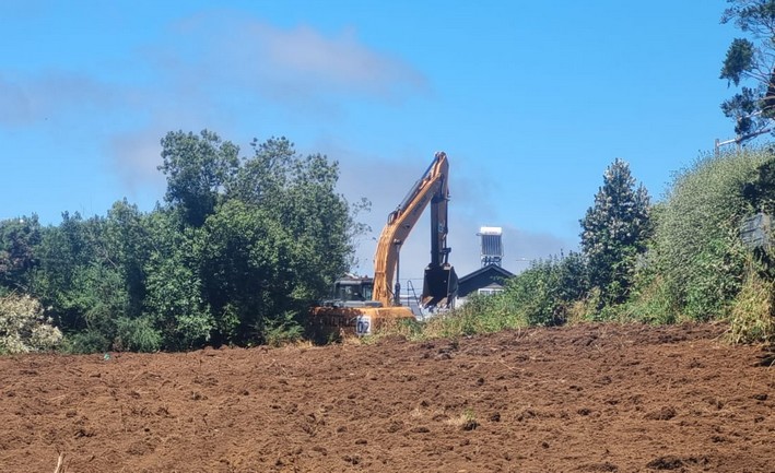 Puerto Varas se blinda contra incendios: Inician cortafuegos por seguridad