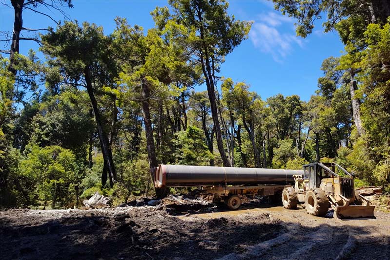From Forests to the Desert: The Versatile Career of Jorge Pérez as a Forestry Operator