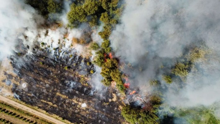 Forest Fires Will Have Dedicated Prosecutors for Their Investigation