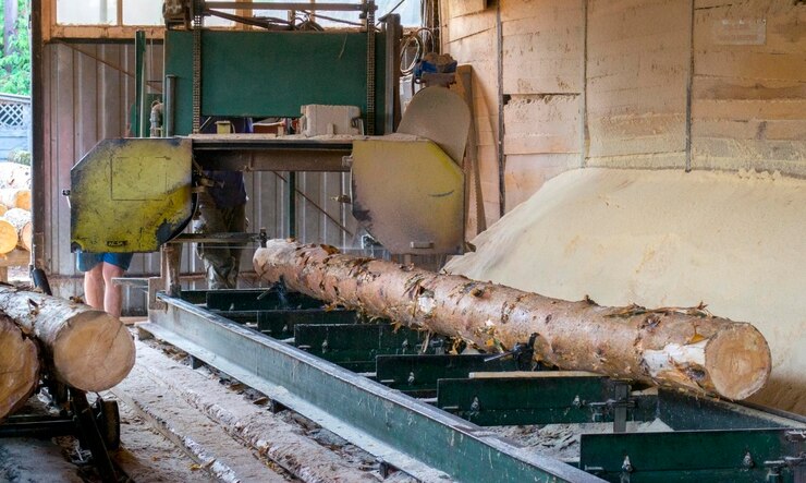 Crisis in the Timber Industry: Sawmills in Decline