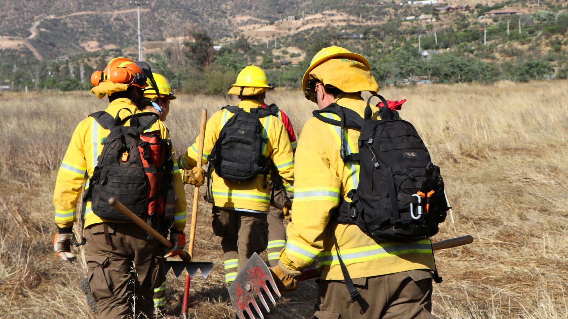 CONAF Biobío abre postulaciones de brigadistas forestales para la temporada 2026-2027