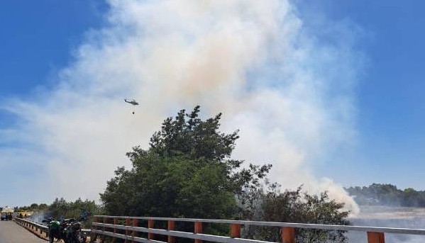 Negligent Acts Confirmed Following Recent Forest Fires in Ñuble