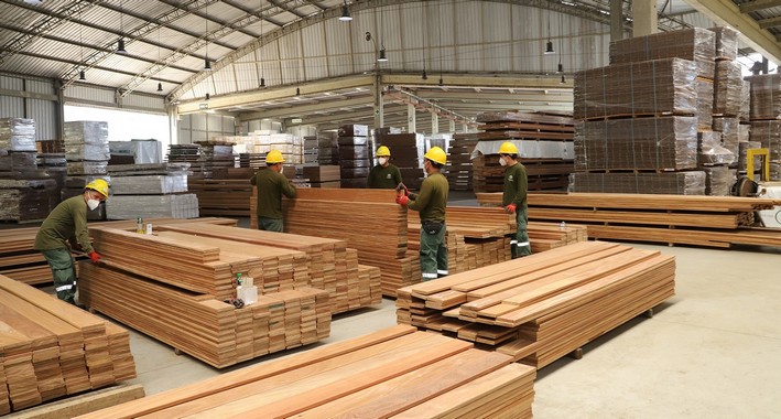 The Multiple Negative Impacts Facing the Chilean Forestry Industry Due to New U.S. Tariffs