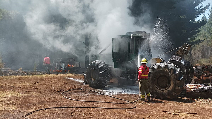 Contratistas forestales critican demora en proceso de acuerdo con el Gobierno ante la OIT