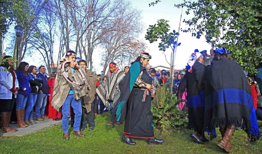 Alcalde de Lebu y representantes de la industria forestal valoran Comisión para la Paz