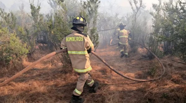 Forest Fires: 150 Municipalities with "Red Button" Activated Due to Conditions Favorable for Fire Outbreaks