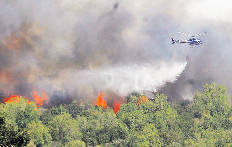 Winter with a View to Summer: Authorities Advance Actions Against Wildfires