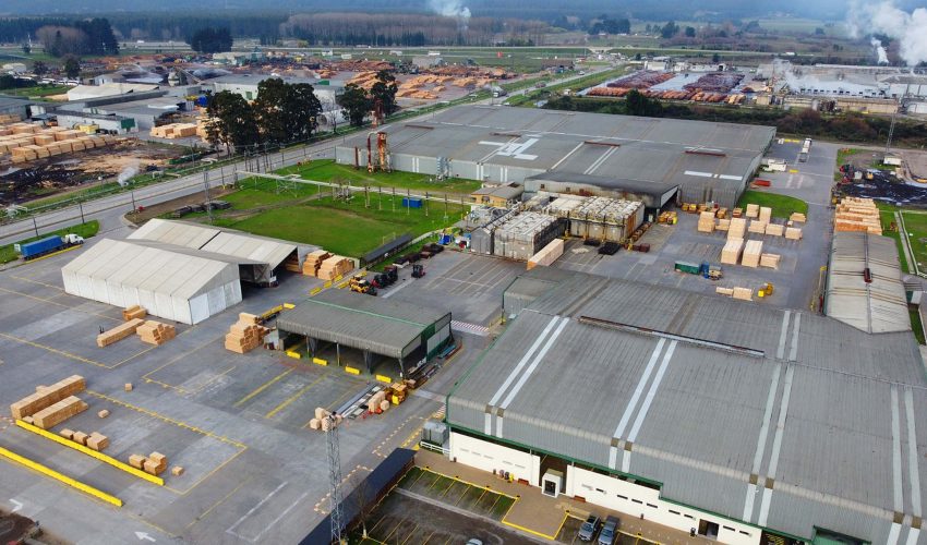 Arauco Confirms 121 Layoffs Due to Closure of Horcones 2 Sawmill