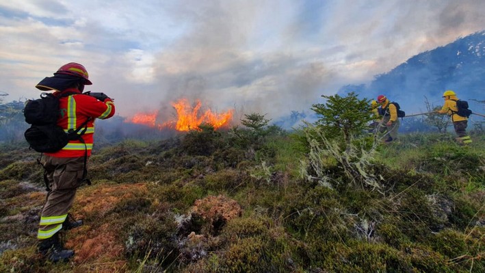 Incendios forestales en Chile: 25 focos activos mantienen en alerta a la zona centro sur